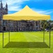 Pop Up Canopy Tent